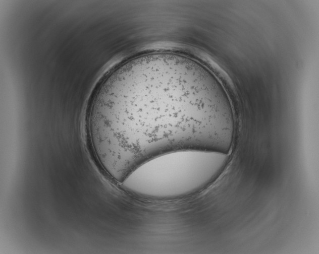 X0000113081229200908280941