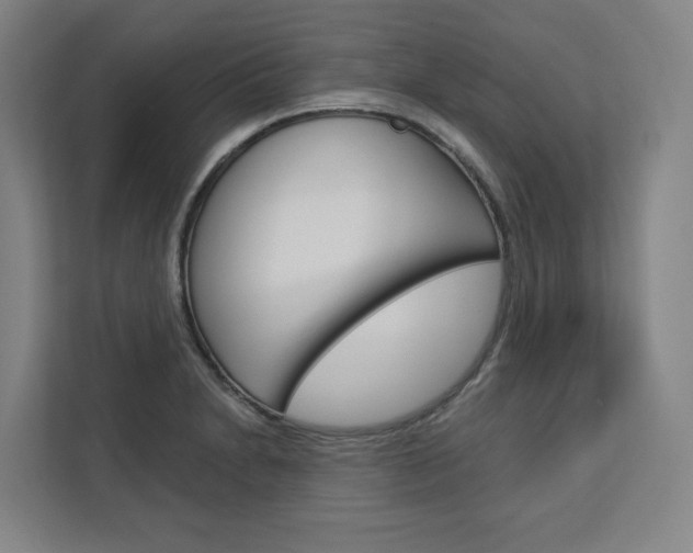 X0000113081230200908280941