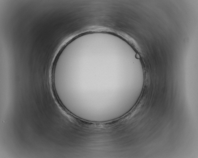 X0000113081231200908280941