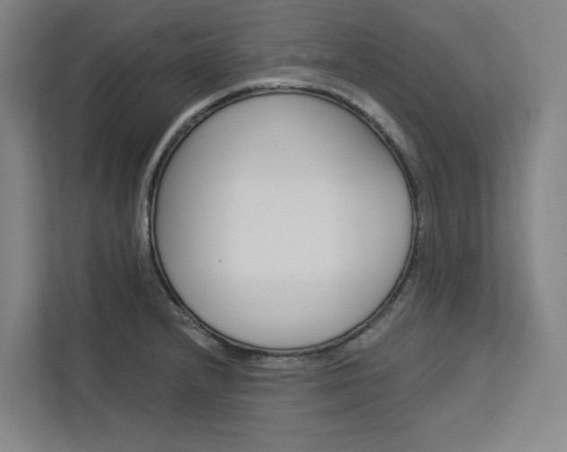 X0000113081232200908280941