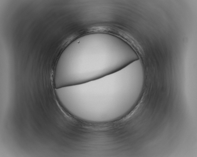 X0000113081233200908280941