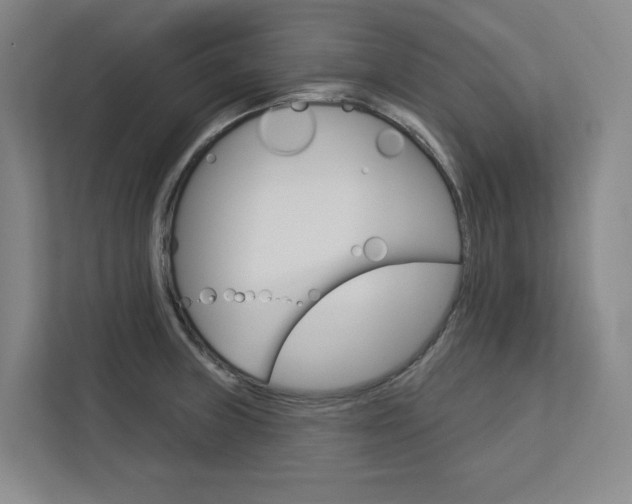 X0000113081235200908280941