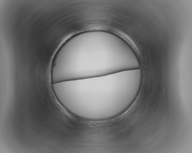 X0000113081236200908280941