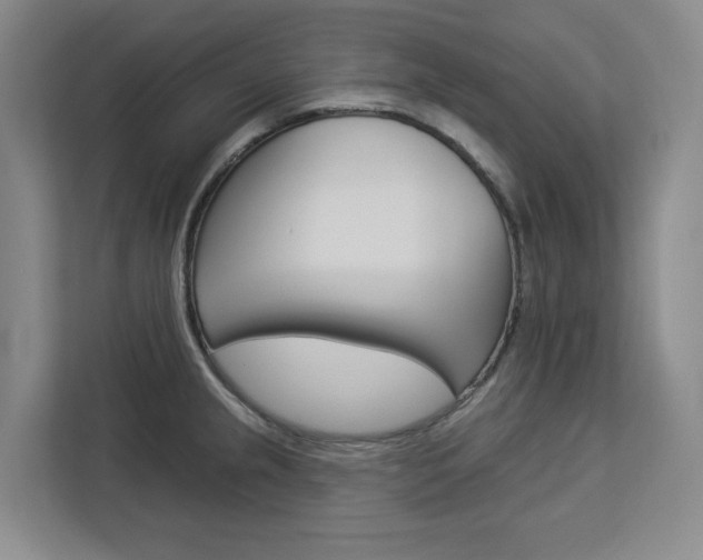 X0000113081237200908280941