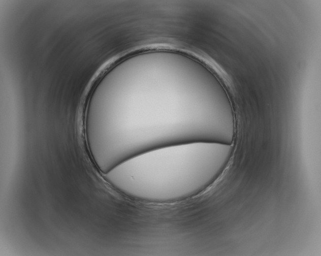 X0000113081240200908280941