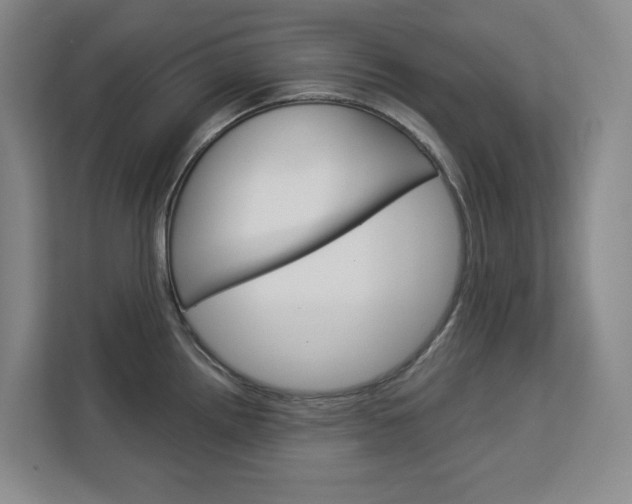 X0000113081242200908280941