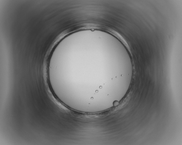 X0000113081243200908280941