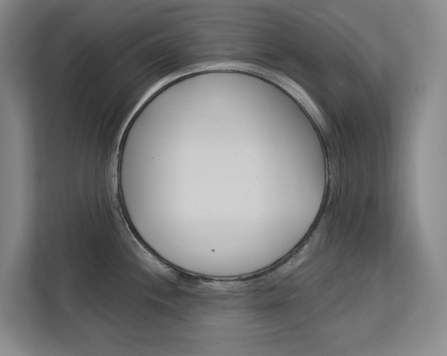 X0000113081244200908280941