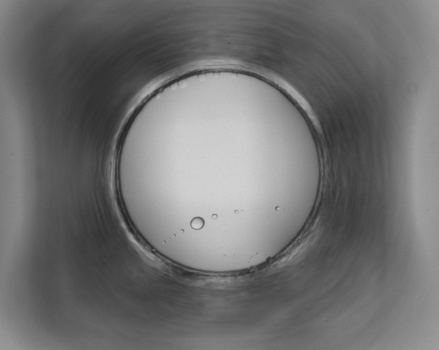 X0000113081245200908280941