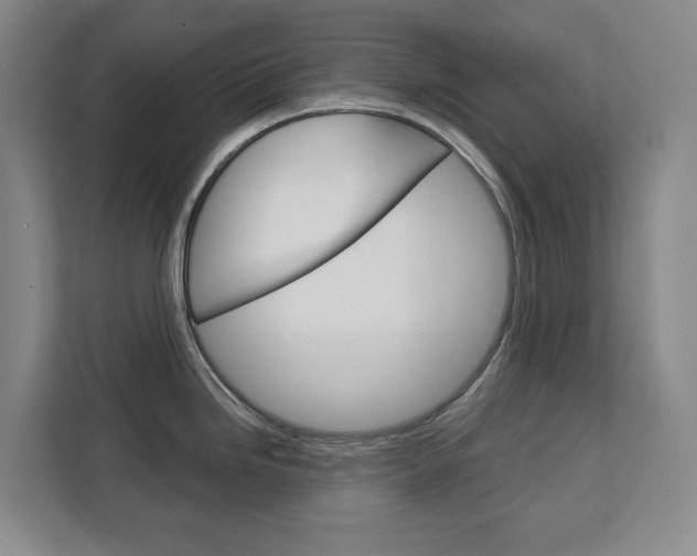 X0000113081246200908280941