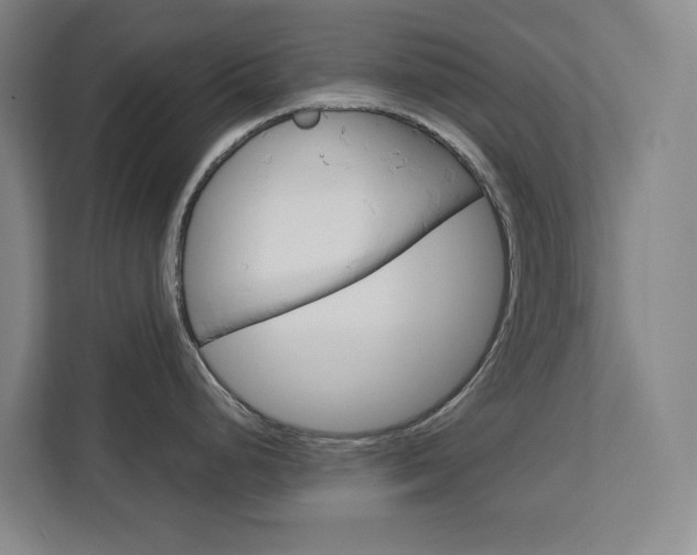 X0000113081248200908280941