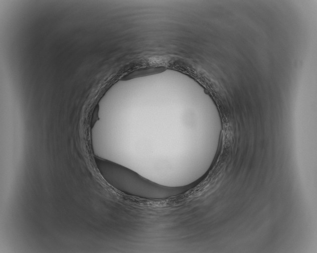 X0000113081249200908280940