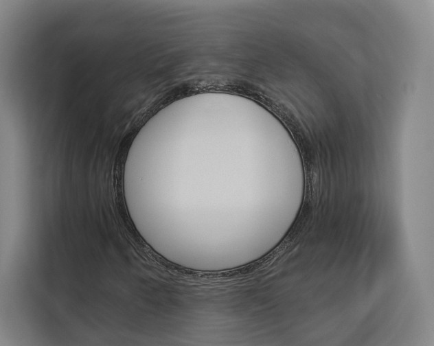 X0000113081250200908280940