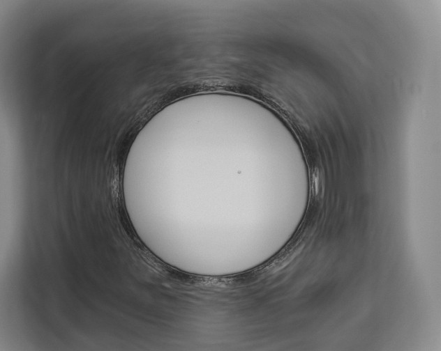 X0000113081251200908280940