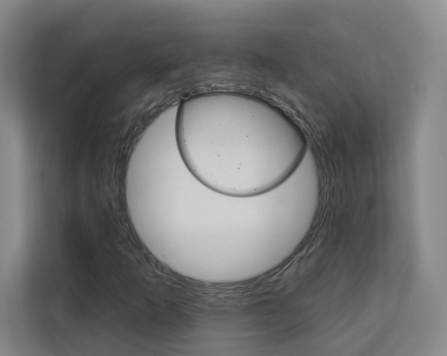 X0000113081253200908280940