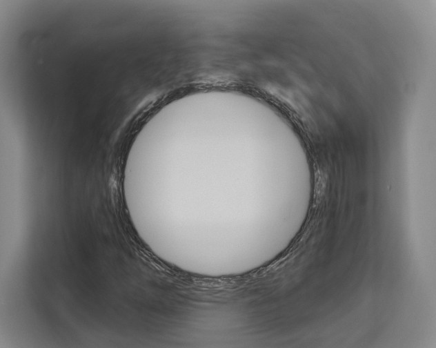 X0000113081254200908280940