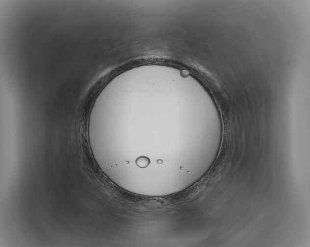 X0000113081255200908280940
