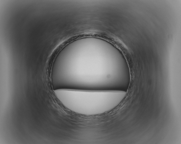 X0000113081256200908280940