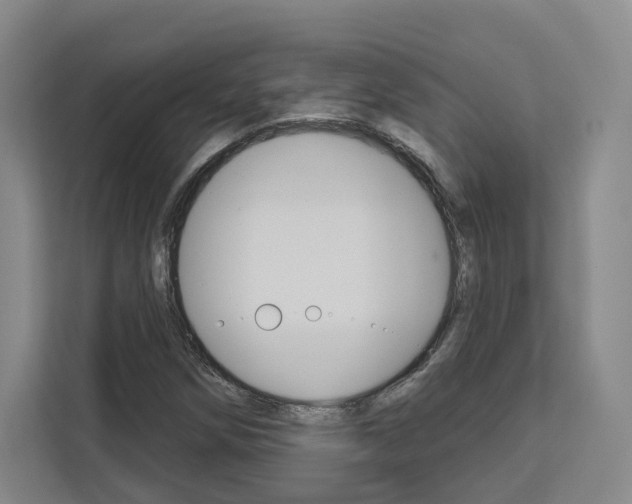 X0000113081258200908280940