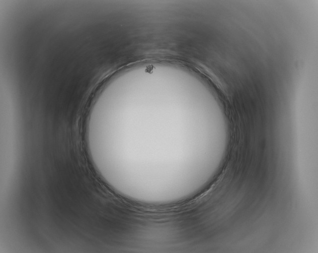 X0000113081261200908280940