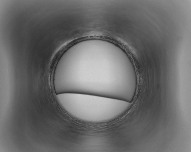 X0000113081262200908280940