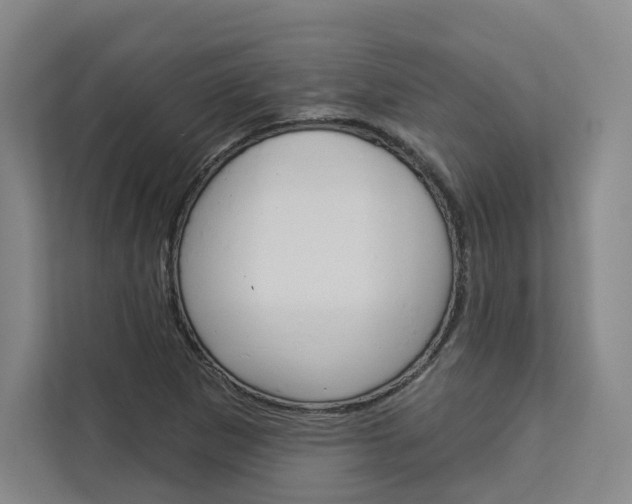 X0000113081265200908280940