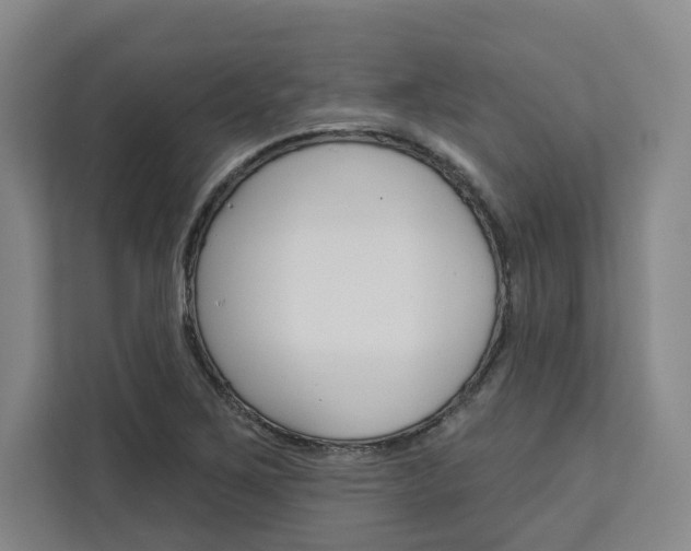 X0000113081267200908280940