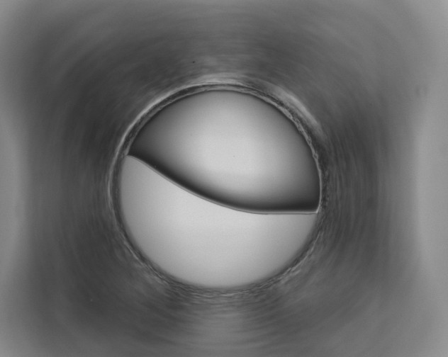 X0000113081268200908280940