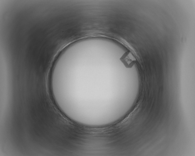 X0000113081269200908280940