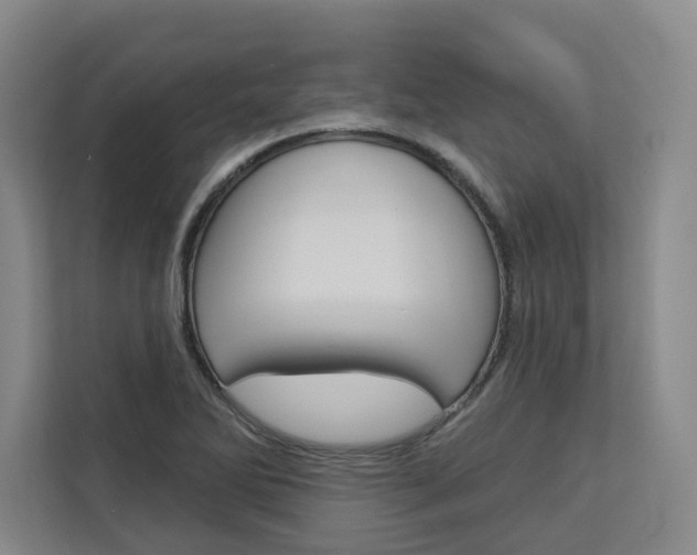 X0000113081270200908280940