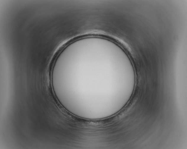 X0000113081271200908280940
