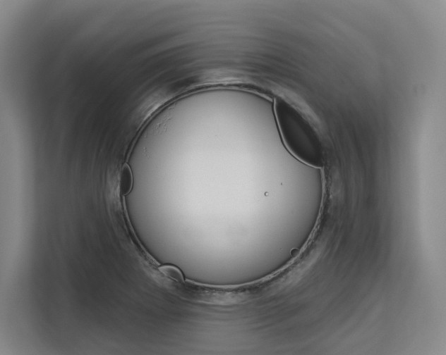 X0000113081273200908280940