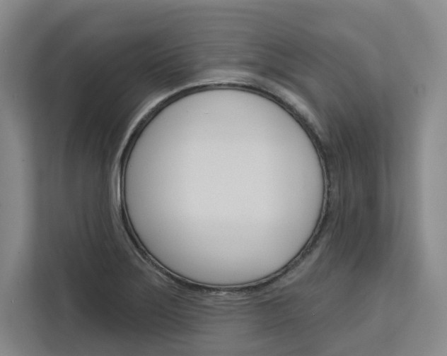 X0000113081275200908280940