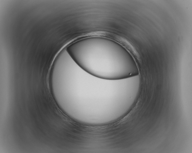 X0000113081276200908280940