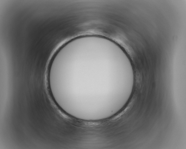 X0000113081278200908280940