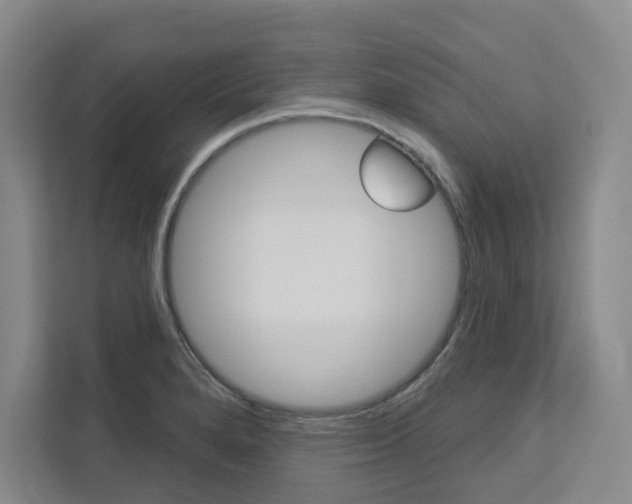 X0000113081280200908280940