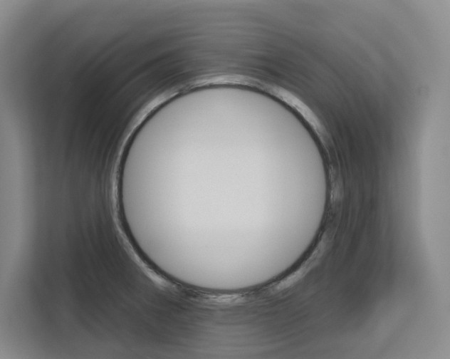 X0000113081282200908280940