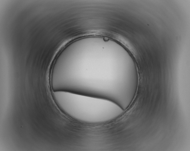 X0000113081283200908280940