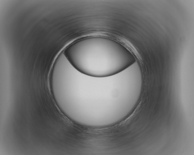 X0000113081284200908280940