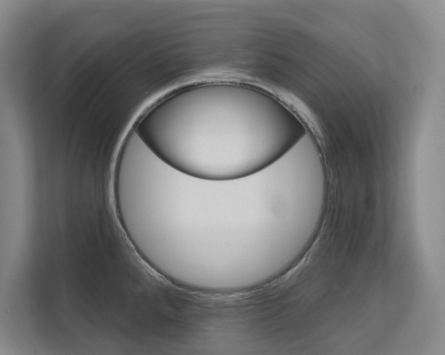 X0000113081288200908280940