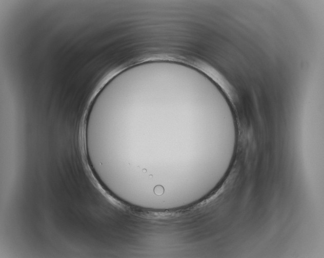 X0000113081290200908280940