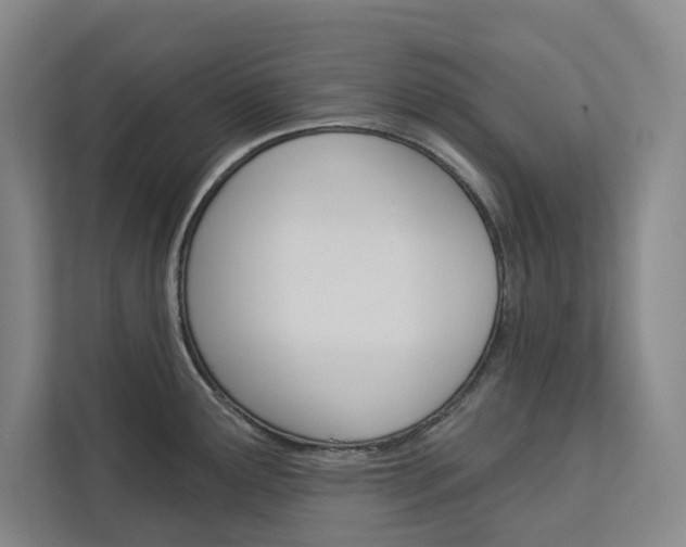 X0000113081291200908280940