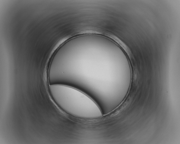 X0000113081293200908280940