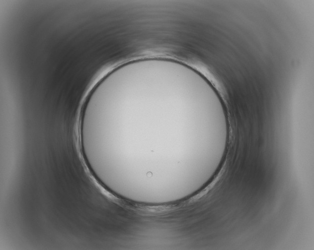 X0000113081294200908280940