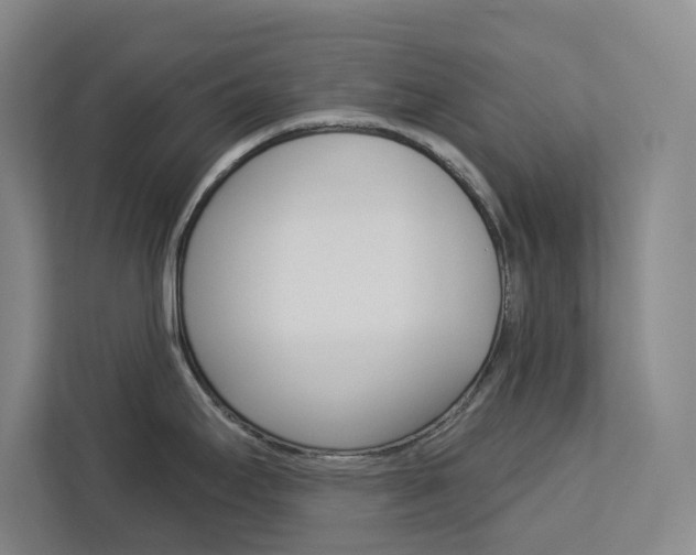 X0000113081295200908280940