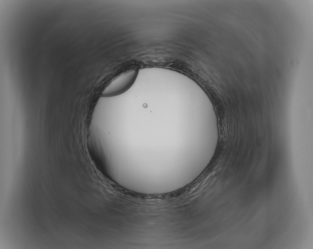 X0000113081297200908280939
