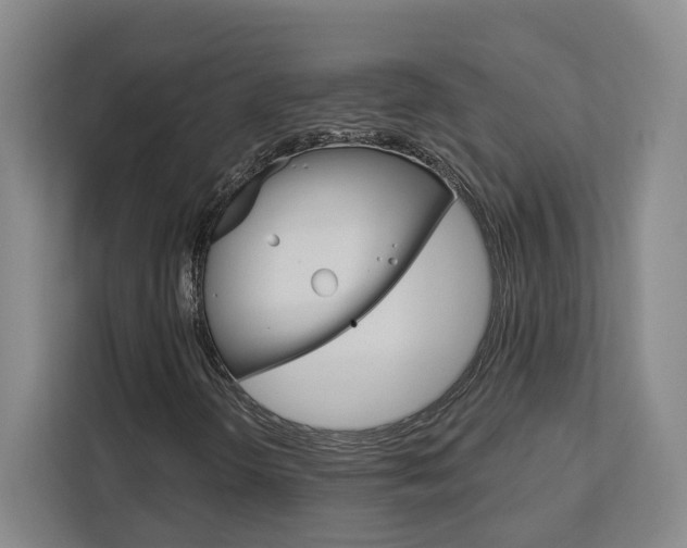 X0000113081298200908280939