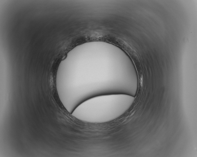 X0000113081299200908280939
