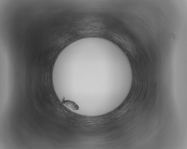 X0000113081300200908280939