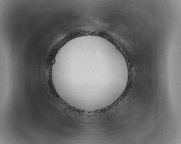 X0000113081302200908280939